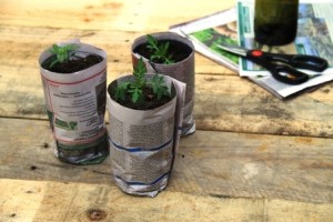 Add the soil to the pot to hold it all together. Then it's ready for the seeds or cuttings.