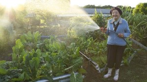 Gardening With Soul Movie Review