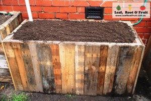 Our self-watering  wicking bed, all ready for planting