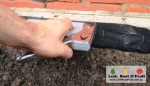 Fix the plastic to the inside of the wicking bed with a staple gun