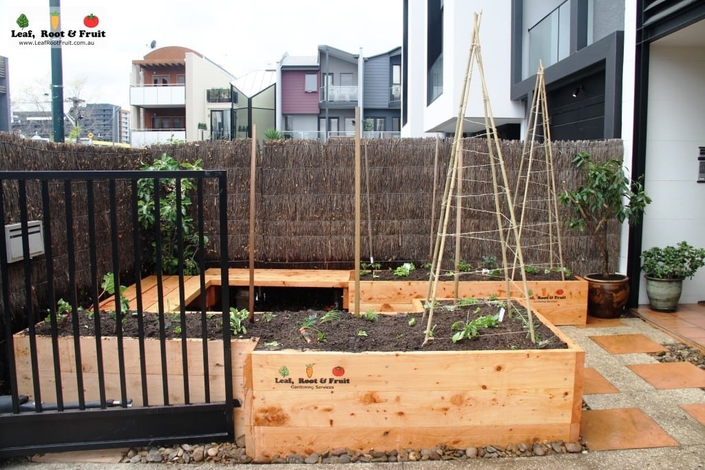 Raised Cypress Veggie Garden Beds Leaf, Root & Fruit Gardening Services