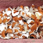 Usig eggshells in the garden