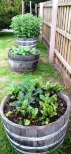 Winter veggie Quiche Laura's Veggie Garden