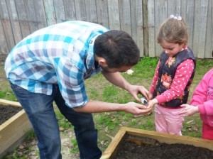 Planting seeds as part of the children's kindergarten planting program