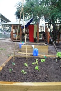 Raised edible garden in Heathmont Pre School Playground