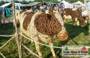 Intricate wicker work in the Greencrafts field at Glastonbury