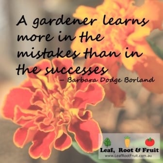 A gardener learns more in the mistakes than the successes - Barbara Dodge Borland
