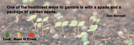 One of the healthiest ways to gamble is with a spade and a package of garden seeds. ~Dan Bennett
