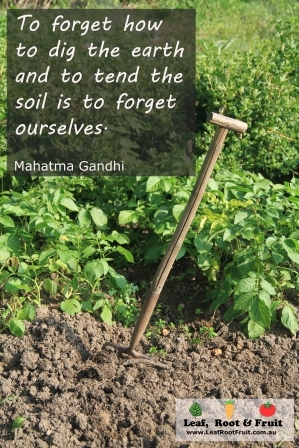 To forget how to dig the earth and to tend the soil is to forget ourselves. ~Mahatma Gandhi