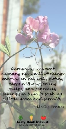 Gardening is about enjoying the smell of things growing in the soil - Lindley Karstens