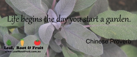 Life begins the day you start a garden. ~Chinese Proverb
