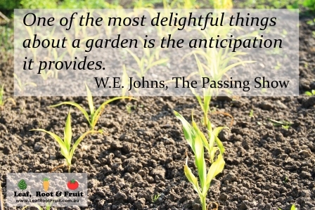 One of the most delightful things about a garden is the anticipation it provides. ~W.E. Johns, The Passing Show