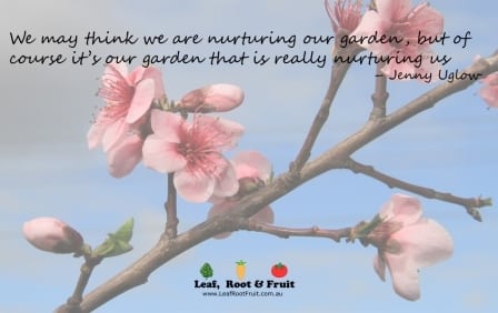 We may think we are nurturing our garden - Jenny Uglow