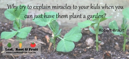 Why try to explain miracles to your kids when you can just have them plant a garden. ~Robert Brault