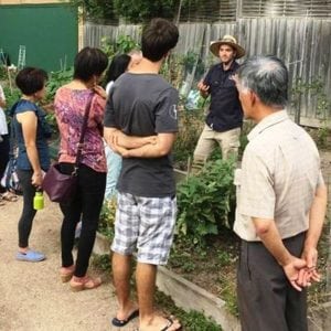 Demonstration on growing veggies Melbourne