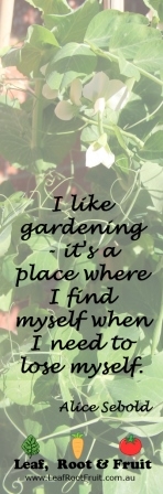 I like gardening - it's a place where I find myself when I need to lose myself. Alice Sebold