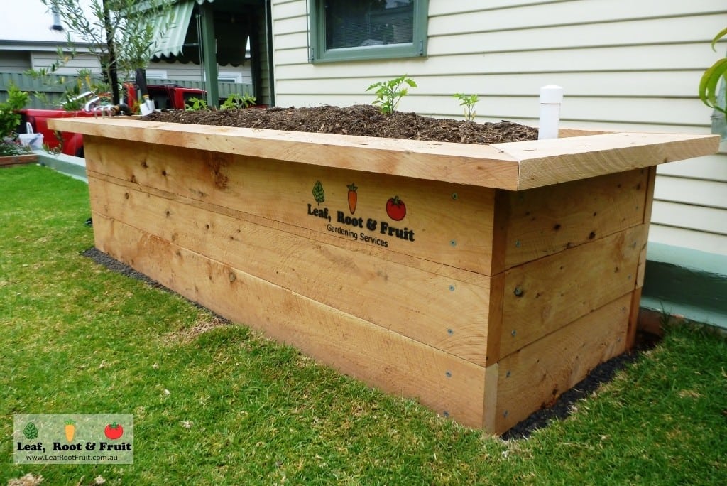 Raised Cypress Veggie Garden Beds Leaf, Root & Fruit Gardening Services