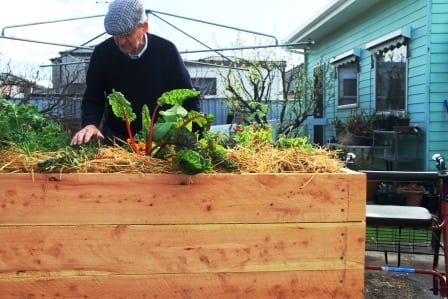 Raised Cypress Veggie Garden Beds, Best Timber For Raised Garden Beds In Australia