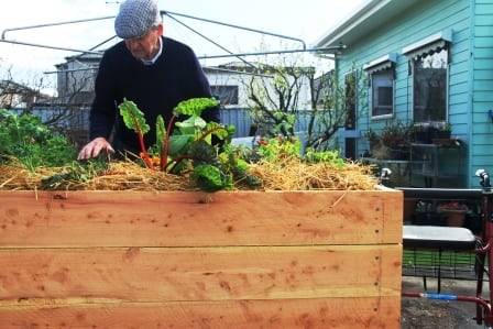 raised garden bed mobility issue no dig