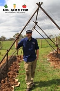The Giant Edible Trellis is easily big enough to walk under without bending over