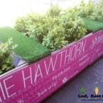 Spring Racing Carnival Glenferrie Road Hawthorn