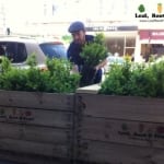 Spring Racing Carnival Glenferrie Road Hawthorn