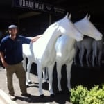 Spring Racing Carnival Glenferrie Road Hawthorn