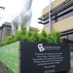 Spring Racing Carnival Glenferrie Road Hawthorn