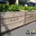 Spring Racing Carnival Glenferrie Road Hawthorn