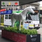 Spring Racing Carnival Glenferrie Road Hawthorn