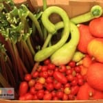 Grow it local grower's feast in Melbourne as part of the Sustainable living festival