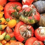 Melbourne International Flower and Garden Show 2015