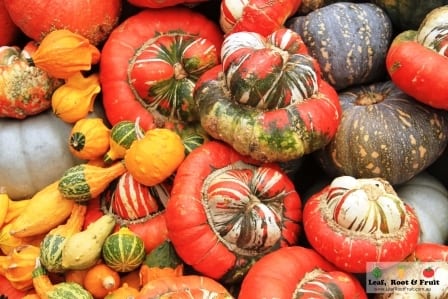 Melbourne International Flower and Garden Show 2015