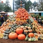 Melbourne International Flower and Garden Show 2015