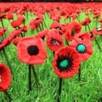 Melbourne International Flower and Garden Show 2015