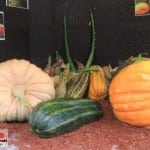 Melbourne International Flower and Garden Show 2015