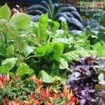 Melbourne International Flower and Garden Show 2015