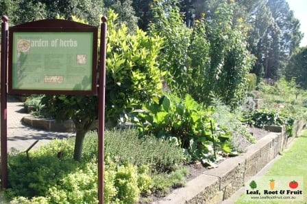 The Patch. Royal Tasmanian Botanical Gardens. Tasmanian Community Food Garden.
