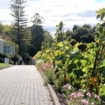 The Patch. Royal Tasmanian Botanical Gardens. Tasmanian Community Food Garden.