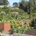 The Patch. Royal Tasmanian Botanical Gardens. Tasmanian Community Food Garden.