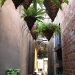 Estelle Bistro Hanging Garden Scott Pickett