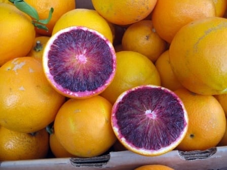 Citrus Varieities Melbourne blood orange citrus