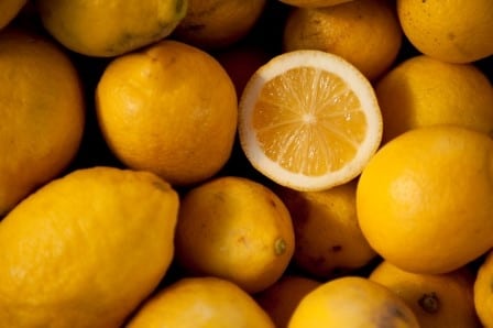 Citrus Varieities Melbourne Lemon