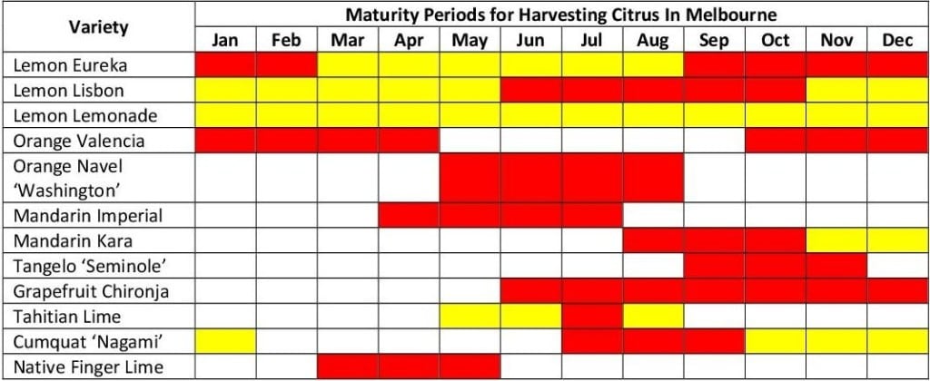 Recommended selection of citrus tree varieties for Melbourne