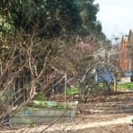 Hertiage Fine Chocolate Factory Edible Garden