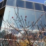 Hertiage Fine Chocolate Factory Edible Garden