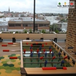 REA Group Edible Garden Wicking Beds