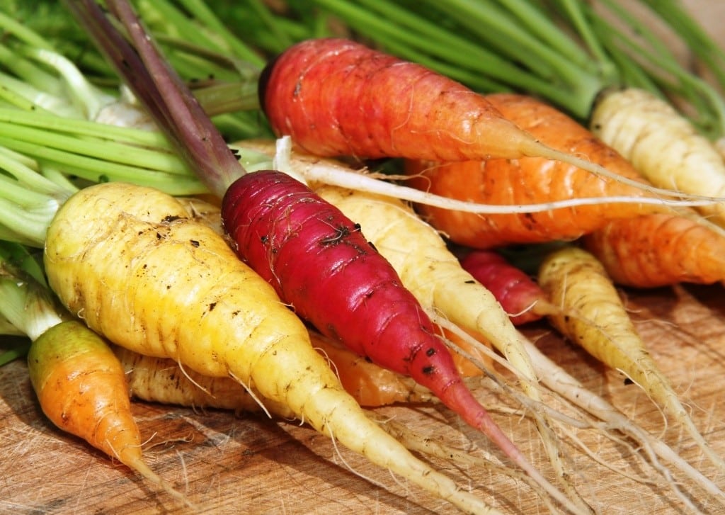 Urban Farming and Edible Garde Maintenance Hawthorn Melbourne