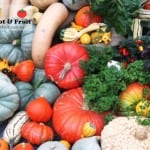 Melbourne International Flower and Garden Show 2016