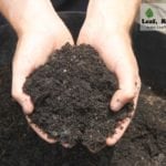 Soil Experiment Melbourne